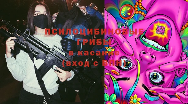 индика Аркадак