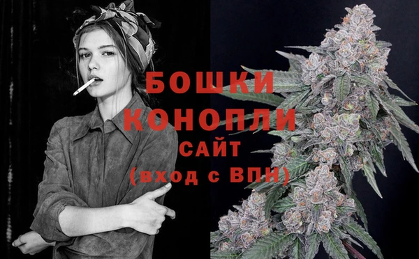 индика Аркадак