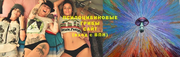 стафф Арсеньев