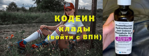 индика Аркадак