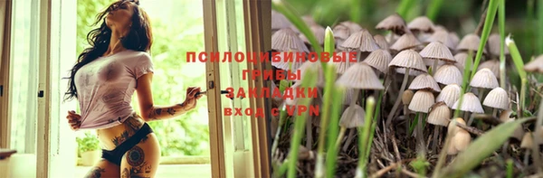 стафф Арсеньев