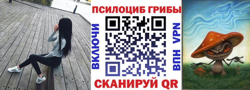 Галлюциногенные грибы Magic Shrooms  Сковородино 