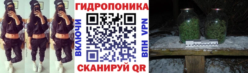 Конопля Bruce Banner  цены наркотик  Сковородино 